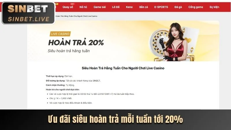 Hoàn trả cược hàng ngày/tuần